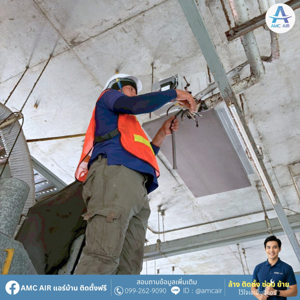 ฟหดฟหหห